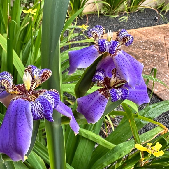 Meet your Posher - Picture 8 of 12